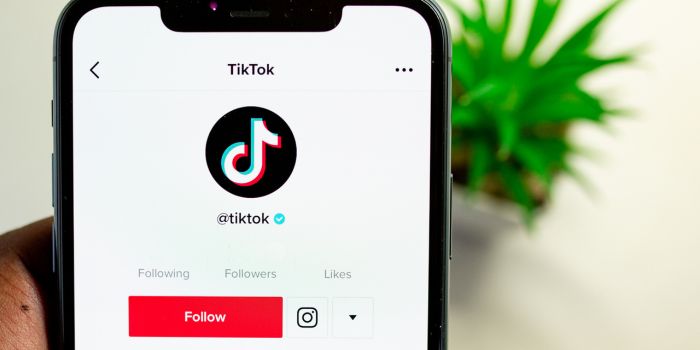 tiktok 5 rede sociais mais usada no Brasil